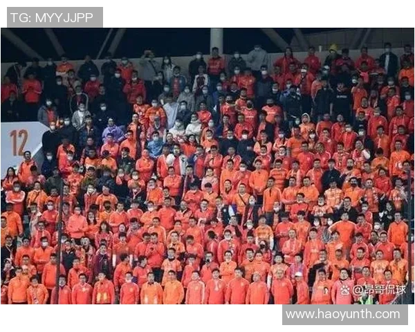 南京网球队实力引发热议球迷观点分歧引发关注与讨论