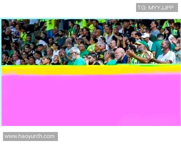 南京足球队实力解析：聚焦球队发展与未来展望