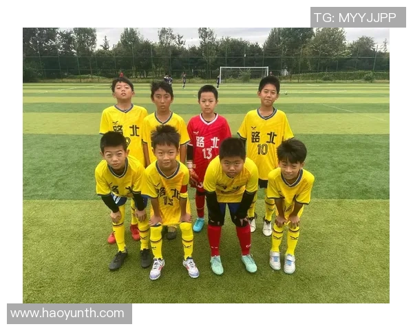 南京足球队的成长历程与奋斗精神的真实记录与回顾