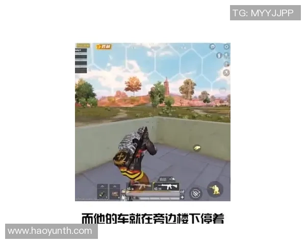 和平精英巨献：深入解析LNG战队的战术节奏与团队协作秘诀