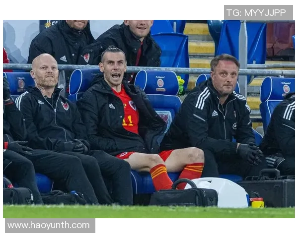 贝尔与比利时足球明星的传奇故事与辉煌成就解析